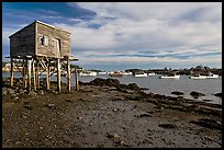 Tidal flats and harbor. Corea, Maine, USA (color)