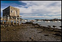 Tidal flats and harbor. Corea, Maine, USA