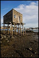 Shack on stills and harbor. Corea, Maine, USA ( color)