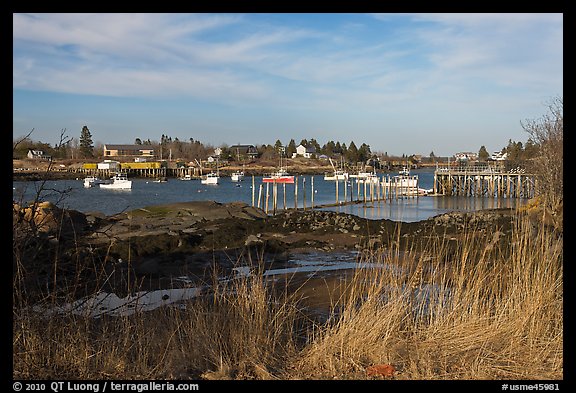 Traditional lobstering village. Corea, Maine, USA (color)