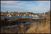 Traditional lobstering village. Corea, Maine, USA (color)