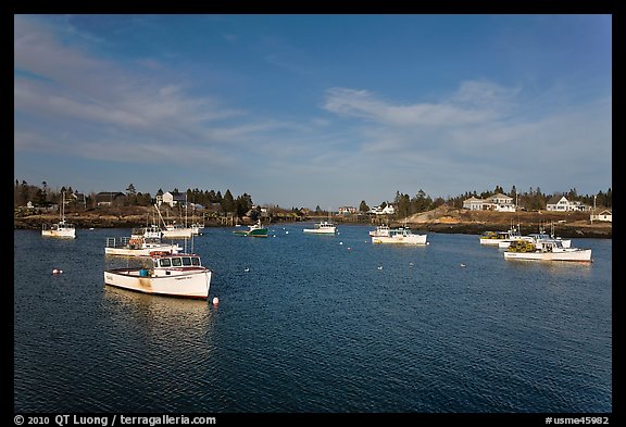 Traditional lobster fishing fleet. Corea, Maine, USA