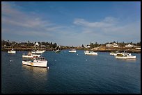 Traditional lobster fishing fleet. Corea, Maine, USA