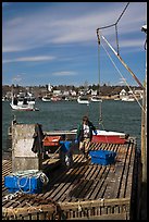 Man preparing to lift box from deck. Corea, Maine, USA ( color)