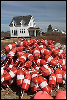 Colorful lobstering buoys. Corea, Maine, USA ( color)