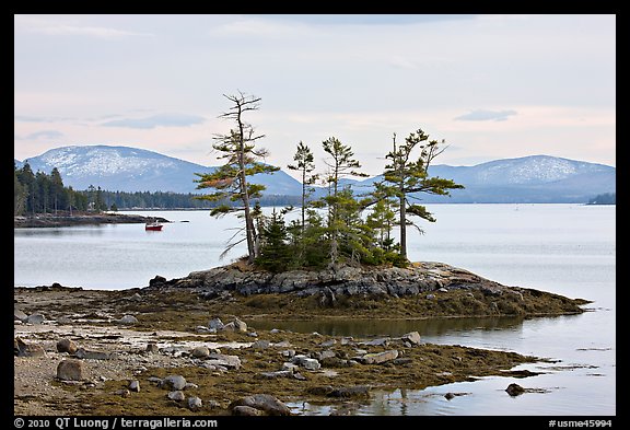 Islet with trees and low tide, and Frenchman Bay. Maine, USA