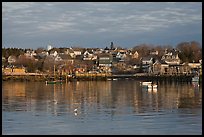 Harber and hillside houses at sunrise. Stonington, Maine, USA (color)