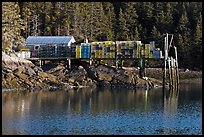 Pier loaded with lobster traps. Isle Au Haut, Maine, USA ( color)