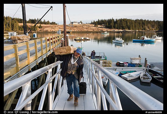 Man carrying construction wood and rolling case out of mailboat. Isle Au Haut, Maine, USA