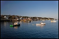 Lobster fleet, late afternoon. Stonington, Maine, USA ( color)