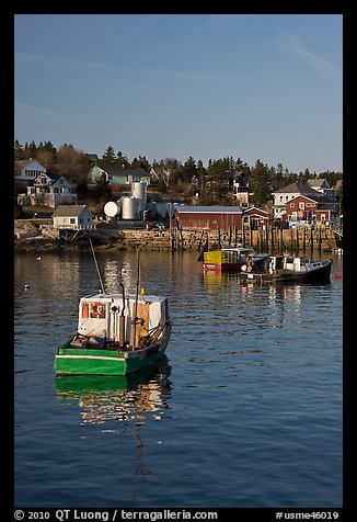 Traditional lobster boats and houses, late afternoon. Stonington, Maine, USA (color)