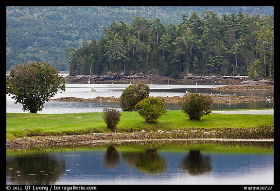 Somesville harbor. Maine, USA (color)