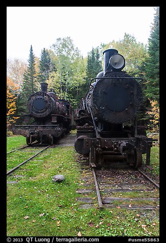 Two locomotives in the woods. Allagash Wilderness Waterway, Maine, USA (color)