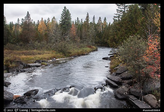 Stream in autumn forest. Allagash Wilderness Waterway, Maine, USA