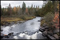 Stream in autumn forest. Allagash Wilderness Waterway, Maine, USA (color)