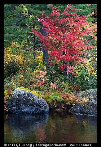 Rocks and trees in fall foliage reflected in East Branch Penobscot River. Katahdin Woods and Waters National Monument, Maine, USA (color)