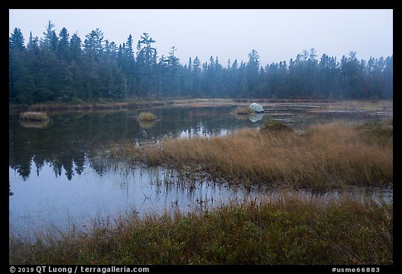 Desey Pond, dusk. Katahdin Woods and Waters National Monument, Maine, USA (color)