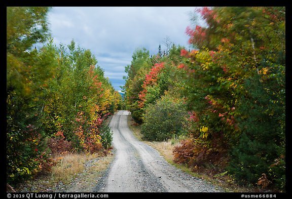 Katahdin Loop Road in autumn. Katahdin Woods and Waters National Monument, Maine, USA (color)