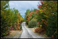 Katahdin Loop Road in autumn. Katahdin Woods and Waters National Monument, Maine, USA ( color)