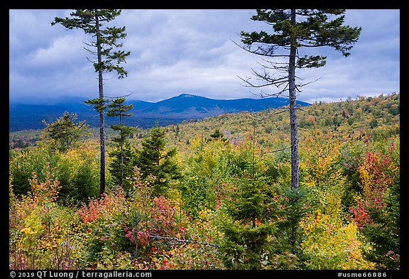 Transitional deciduous northern hardwood forest and struce fir mix. Katahdin Woods and Waters National Monument, Maine, USA (color)