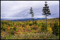 View from Loop Road Overlook. Katahdin Woods and Waters National Monument, Maine, USA ( color)