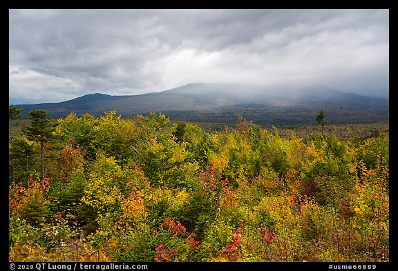 Northern hardwood forest in autumn foliage and cloud-capped Katahdin. Katahdin Woods and Waters National Monument, Maine, USA