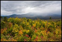 Northern hardwood forest in autumn foliage and cloud-capped Katahdin. Katahdin Woods and Waters National Monument, Maine, USA ( color)