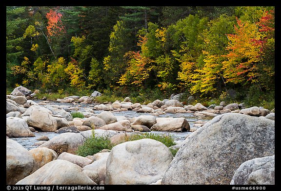 Huge boulders and Wassatotaquoik Stream in autumn. Katahdin Woods and Waters National Monument, Maine, USA (color)