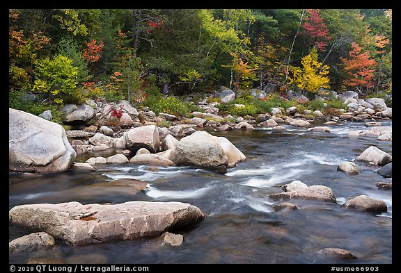 Wassatotaquoik Stream in autumn. Katahdin Woods and Waters National Monument, Maine, USA (color)