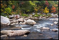 Wassatotaquoik Stream in autumn. Katahdin Woods and Waters National Monument, Maine, USA ( color)