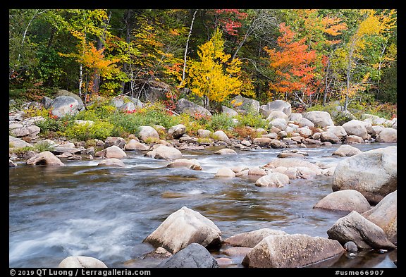 Wassatotaquoik Stream and hardwood trees in autumn. Katahdin Woods and Waters National Monument, Maine, USA (color)