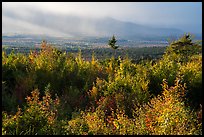 View from Loop Road Overlook over mountain hidden by clouds. Katahdin Woods and Waters National Monument, Maine, USA ( color)