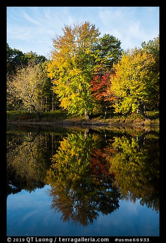 Trees in autunm foliage reflected in East Branch Penobscot River. Katahdin Woods and Waters National Monument, Maine, USA (color)