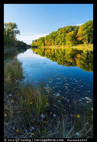 East Branch Penobscot River with fallen leaves, early morning reflections. Katahdin Woods and Waters National Monument, Maine, USA (color)