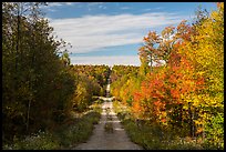 International Appalachian Trail following old logging road. Katahdin Woods and Waters National Monument, Maine, USA ( color)