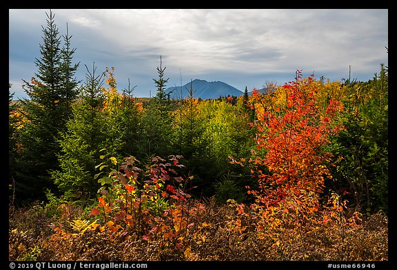 First view of Katahdin in autumn. Katahdin Woods and Waters National Monument, Maine, USA (color)