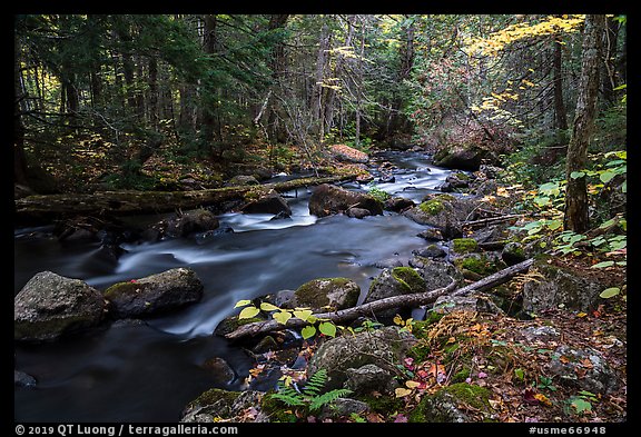 Hardwood forest and Katahdin Brook in autunm. Katahdin Woods and Waters National Monument, Maine, USA (color)