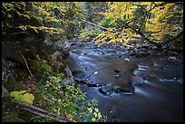 Katahdin Brook in autunm. Katahdin Woods and Waters National Monument, Maine, USA ( color)