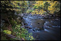 Katahdin Brook in autunm. Katahdin Woods and Waters National Monument, Maine, USA ( color)