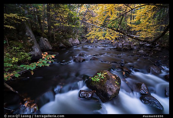 Cascade, Katahdin Brook. Katahdin Woods and Waters National Monument, Maine, USA (color)