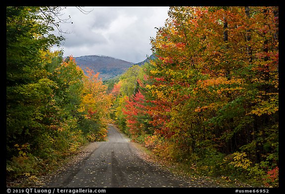 Messer Pond Road and mountain framed by trees in autumn foliage. Katahdin Woods and Waters National Monument, Maine, USA (color)
