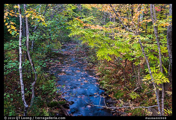 Stream in autumn forest. Katahdin Woods and Waters National Monument, Maine, USA (color)
