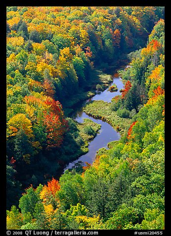 River and trees in autumn colors, Porcupine Mountains State Park. Upper Michigan Peninsula, USA