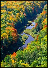River and trees in autumn colors, Porcupine Mountains State Park. USA ( color)