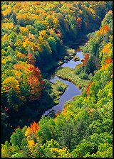 River and trees in autumn colors, Porcupine Mountains State Park. Upper Michigan Peninsula, USA ( color)