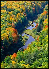 River and trees in autumn colors, Porcupine Mountains State Park. Upper Michigan Peninsula, USA (color)