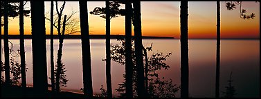 Sunset lakescape through trees, Lake Superior. Upper Michigan Peninsula, USA