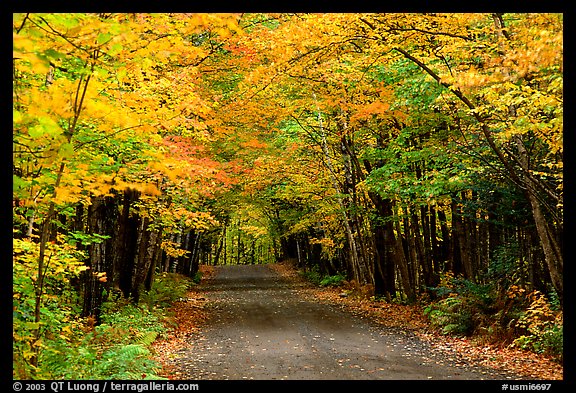 Rural road with fall colors, Hiawatha National Forest. Upper Michigan Peninsula, USA