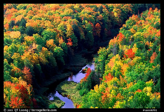 River and trees in autumn colors, Porcupine Mountains State Park. Upper Michigan Peninsula, USA