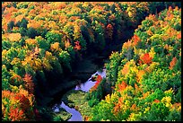 River and trees in autumn colors, Porcupine Mountains State Park. Upper Michigan Peninsula, USA ( color)